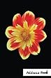 Address Book.: (Flower Edition Vol. F23)Red Flower Cover Design. Glossy Cover, Large Print, Font, 6 X 9 for Contacts, Addresses, Phone Numbers, Emails, Birthday and More.