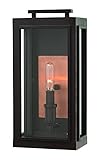 Hinkley 2910OZ Outdoor Sutcliffe Light [並行輸入品]