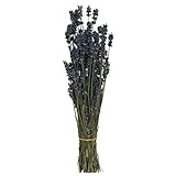 東京堂 ドライフラワー ラベンダー (約30ｇ入り)  DE017011