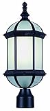 Trans Globe Lighting PL-4186 BK Black Outdoor Post Top Light [並行輸入品]