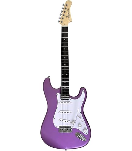 Playtech パープル エレキギター ST250 プレイテック Amazon | 【国内正規品】 PLAYTECH プレイテック エレキギター