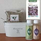 ベビーリーフ（サマーレッドリーフ）の栽培セット/豊作セット（液体肥料付き）プランターホワイト仕様