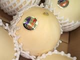 熊本県産　メロン　ホームランスター　4?6玉入り　約5kg