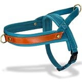 Bubutas 犬 ハーネス 小型犬/中型犬/大型犬 おしゃれ ブランド 抜けない 引っ張り防止 フレンチブルドッグ サイズ調節可能 通気性 メッシュ 歩行補助 散歩 しつけ用 軽量 安全 咳き込み防止 訓練 (ターコイズブルー, Mサイズ)
