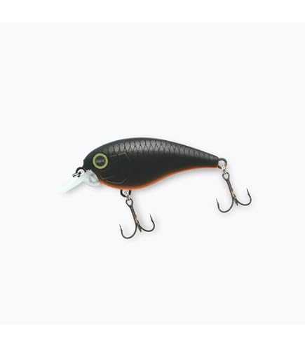 Amazon.co.jp: レヴォニック（REVONIK）ドットシックス DotSIX Ver1.5