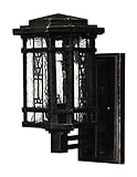 Hinkley 2246RB Outdoor Tahoe Light [並行輸入品]