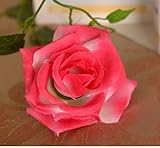 Aimeart Wedding Decoration Photo Booth 13 Tough Silk Cloth Flowers Red & White [並行輸入品]