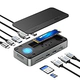 SAN ZANG MASTER 10 IN 1 ドッキングステーション M.2 SSD 外付けケース付き ファン付き 10Gbps高速転送 PD100W充電 4K 60HZ HDMI出力 1000MbpsLANポート USB C ハブ SD/TFポートスロット搭載 Windows/Mac OSなど対応 ノートPC対応 旅行、出張や在宅勤務など最適 ブラック