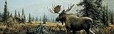 VantagePoint 020223L Big Game-Moose Rear Window Graphic [並行輸入品]