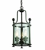 Z-Lite 135-3 Wyndham Three Light Pendant, Metal Frame, Bronze Finish and Clear Shade of Glass Materi