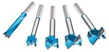 Roman Carbide DC1918 Carbide Forstner Bit Set, 1/2-Inch to 1-3/8-Inch, 5-Piece [並行輸入品]