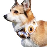 NEW クールネック 犬 2025年モデル 全20柄 夏 暑さ対策 ひんやり リード穴付き 保冷剤付属 首 裏生地防水 アルミ フレンチブルドック フレブル クールスヌード おしゃれ スイカ 熱中症予防 小型犬 中型犬 大型犬 KM882G (2XLサイズ, 12ジグザグ×ブルー)