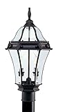 Livex Lighting 2622-07 Outdoor Post with Clear Beveled Glass Shades, Bronze [並行輸入品]