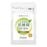大草原の乳酸菌 NS-Max（36粒入）【1日2粒／約18日分】