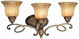 Minka Lavery 3 Light Brushed Nickel Vanity light [並行輸入品]