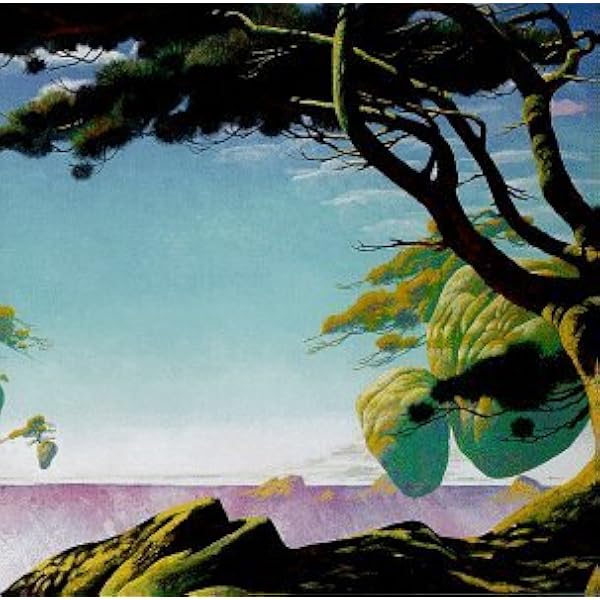 Amazon.co.jp: イエス・ミュージックの夜:日本限定CD+DVD8枚組スーパー