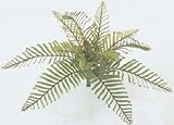 タカショー 【観葉植物・グリーンデコ和風】 ファンブッシュ 小 W55cm メンテが楽でリアルな人工植物 GN-53S