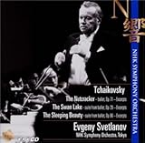 N���`���̃��C��!