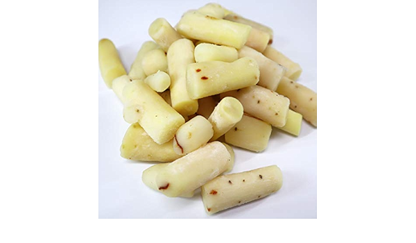 Amazon 冷凍野菜ベルギー産サルシフィ 西洋ゴボウ 1000g Black Salsify ノーブランド品 カット野菜 通販