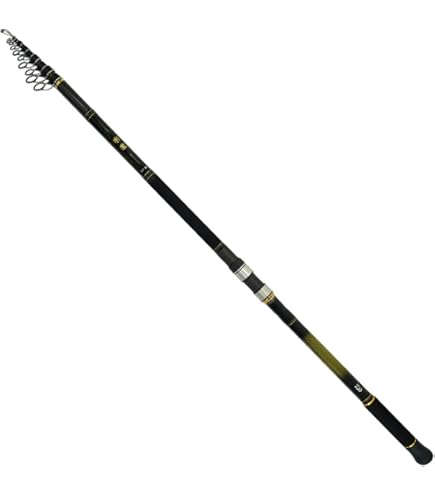 Amazon | ダイワ(DAIWA) 磯竿 トーナメント磯 5-53遠投・K | ダイワ