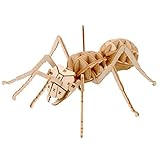 つくるんです ポケットバグズ クロオオアリ 日本語説明書付