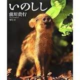 うりぼうと母さん 矢野誠人の写真絵本 矢野 誠人 林 良博 矢野 誠人 本 通販 Amazon