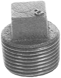 配管工's Choice 93162 1インチの亜鉛メッキ継手プラグ( 10個パック)