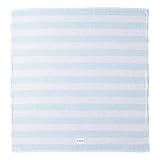 赤ちゃんの城 バスタオル パステルベア サックス