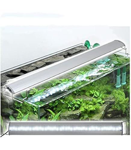 Amazon.co.jp: アクロ TRIANGLE LED BRIGHT 900