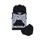 Younger Tree SWEATER ユニセックス・ベビー US サイズ: 6-12 Months カラー: ブラック