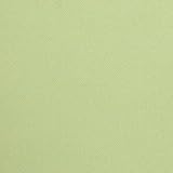 のりなし国産壁紙 ペールグリーン・薄い緑色の壁紙セレクション/リリカラ Willウィル （販売単位1m） LW-214