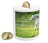 HorseコインボックスBank by lunarable、Appaloosa Horse Runs Trot On The Meadow in Summer time Farmhouse Rural