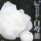 ������\�ܔN�x(��l�\���)���{�R�����r�A�S����r�R���N�[���ۑ�� ��䉖�