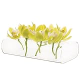 Chive, Hudson 2, 8-Hole Flute Vase [並行輸入品]