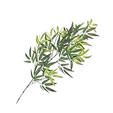 【人工植物】モウソウ竹リーフ