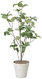 造花 観葉植物 「サラサドウダン H90cm」 光触媒(空気清浄) インテリアグリーン 鉢植え