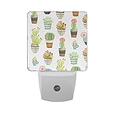 naanle Flowers Pots withサボテンと多肉植物自動センサーLED Dusk to Dawnナイトライトプラグinインドアfor Adults