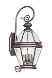 Livex Lighting 2632-07 Outdoor Wall Lantern with Clear Beveled Glass Shades, Bronze [並行輸入品]