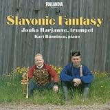 �X��������̋���