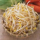 もやし2袋入（福岡産）