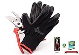 Choicest Pruning Shears, Hand Pruner and Gardening Tool for Professional and Home Use, Comes with Bo