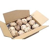 ちこり村 有機黒にんにく 訳あり B級品 アウトレット 玉 1kg箱 有機 JASマーク認証 オーガニック