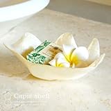 【アジア工房】貝殻の形をしたカピスシェルの小物入れトレイ[11555] [並行輸入品]