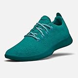 "世界一快適！(米タイム誌)" NZメリノウール/洗濯機で洗える allbirds スニーカー 男性用 [NZ直送] (US11, ティール) [並行輸入品]
