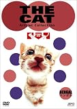 THE CAT �`�x���K���`