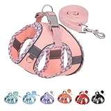 ペット用ハーネス犬 中型犬用ハーネス - 超小型犬から中型犬まで、歩行、ランニング、トレーニングに便利なセット (ピンク, XXS)