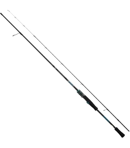 Amazon | ダイワ EMERALDAS X BOAT 65LS-S | Daiwa | エギングロッド