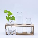 水耕栽培，フラワースタンド 創造性 幾何学 透明 ガラス 水耕栽培 花瓶 コンテナ 手作り 古い 木製 フレームワーク デスクトップ フラワーポット 土壌なし 栽培 植物 小さい新鮮な 牧歌 人生 村
