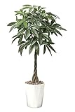 造花アート・観葉植物　パキラトピアリー1.25＜ 入学祝い 卒業祝い 卒園祝いに ＞