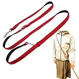 Pet Pilala 犬 リード 肩掛け ショルダーリード ハンズフリー 写真映え ２頭引き 立体メッシュ素材 軽量 丈夫 多機能 小型犬 中型犬 しつけ 訓練 ランニング ジョギング 1.0-1.8m 【愛玩動物飼養管理士が開発】 (5. レッド, 2. Mサイズ)